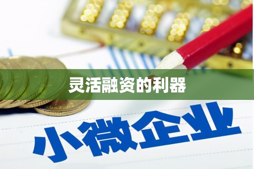 镇原灵活融资的利器