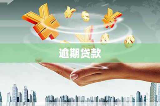 镇原逾期贷款