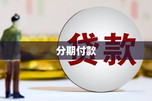 镇原分期付款