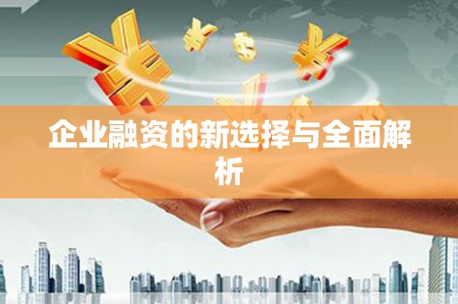镇原企业融资的新选择与全面解析