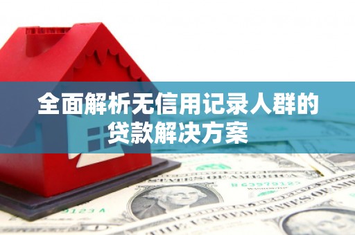 镇原全面解析无信用记录人群的贷款解决方案