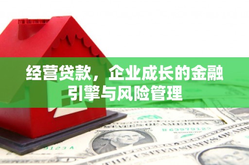 镇原经营贷款，企业成长的金融引擎与风险管理