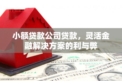 镇原小额贷款公司贷款，灵活金融解决方案的利与弊