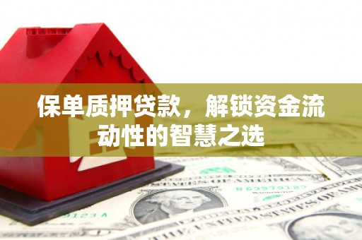 镇原保单质押贷款，解锁资金流动性的智慧之选