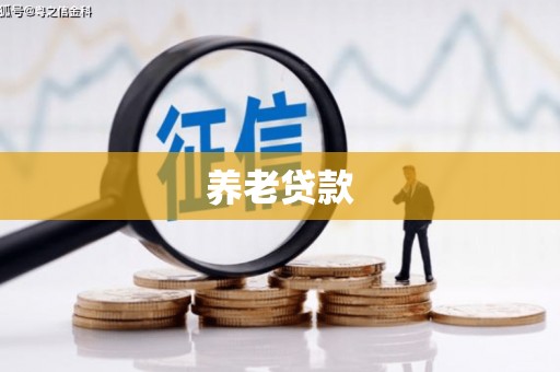 镇原养老贷款
