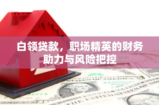 镇原白领贷款，职场精英的财务助力与风险把控