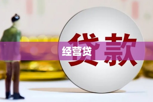 镇原经营贷